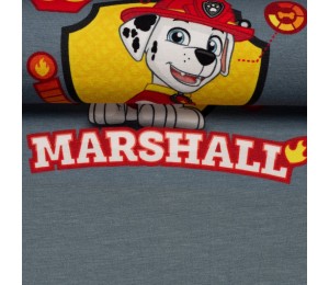 Jersey - Panel Stenzo PawPatrol 6